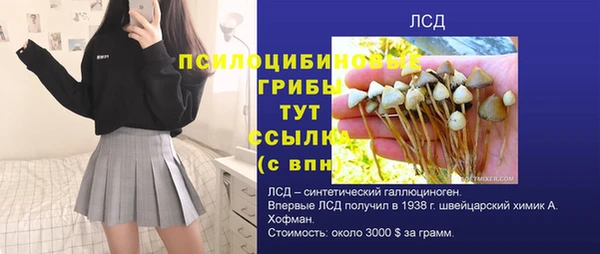 гидропоника Новокубанск