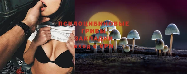 a pvp Новодвинск