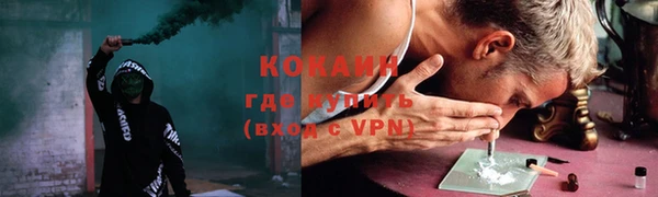 a pvp Новодвинск