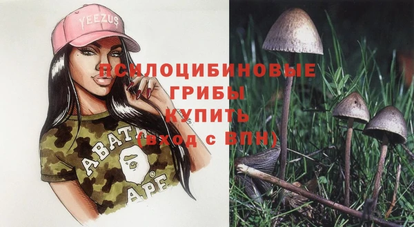 гидропоника Новокубанск