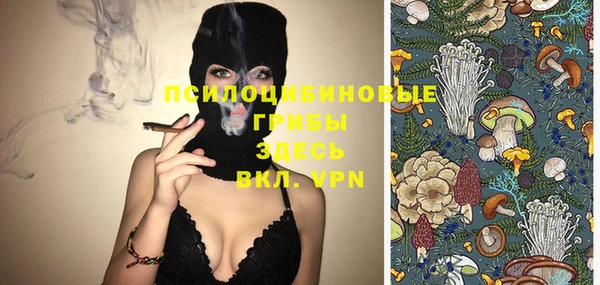 гидропоника Новокубанск