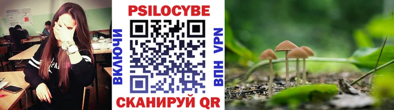 Псилоцибиновые грибы MAGIC MUSHROOMS  Котельнич 